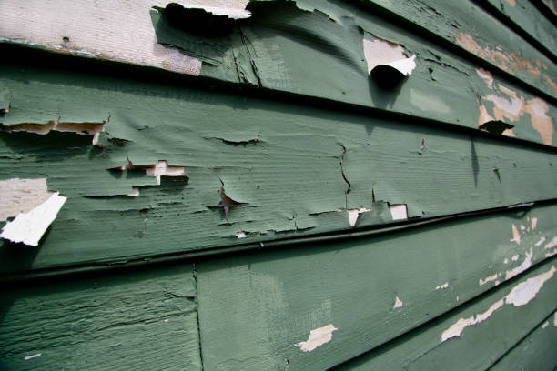 Best Residential Junk Removal  in Williamstown, NJ