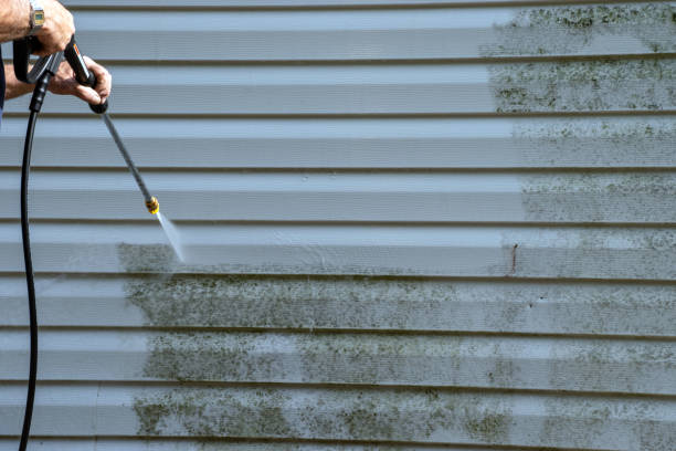 Best Attic Cleanout  in Williamstown, NJ